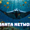 Memaksimalkan Keuntungan dengan Staking Manta di Ekosistem Manta Network