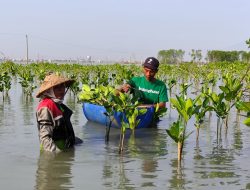 Hari Mangrove Sedunia: LindungiHutan Tekankan Pentingnya Pelestarian Mangrove untuk Masa Depan